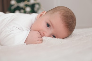 Photo of Cute little baby on blanket in room with Christmas tree