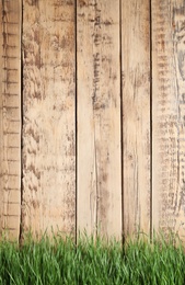 Photo of Fresh green grass near wooden fence. Space for text