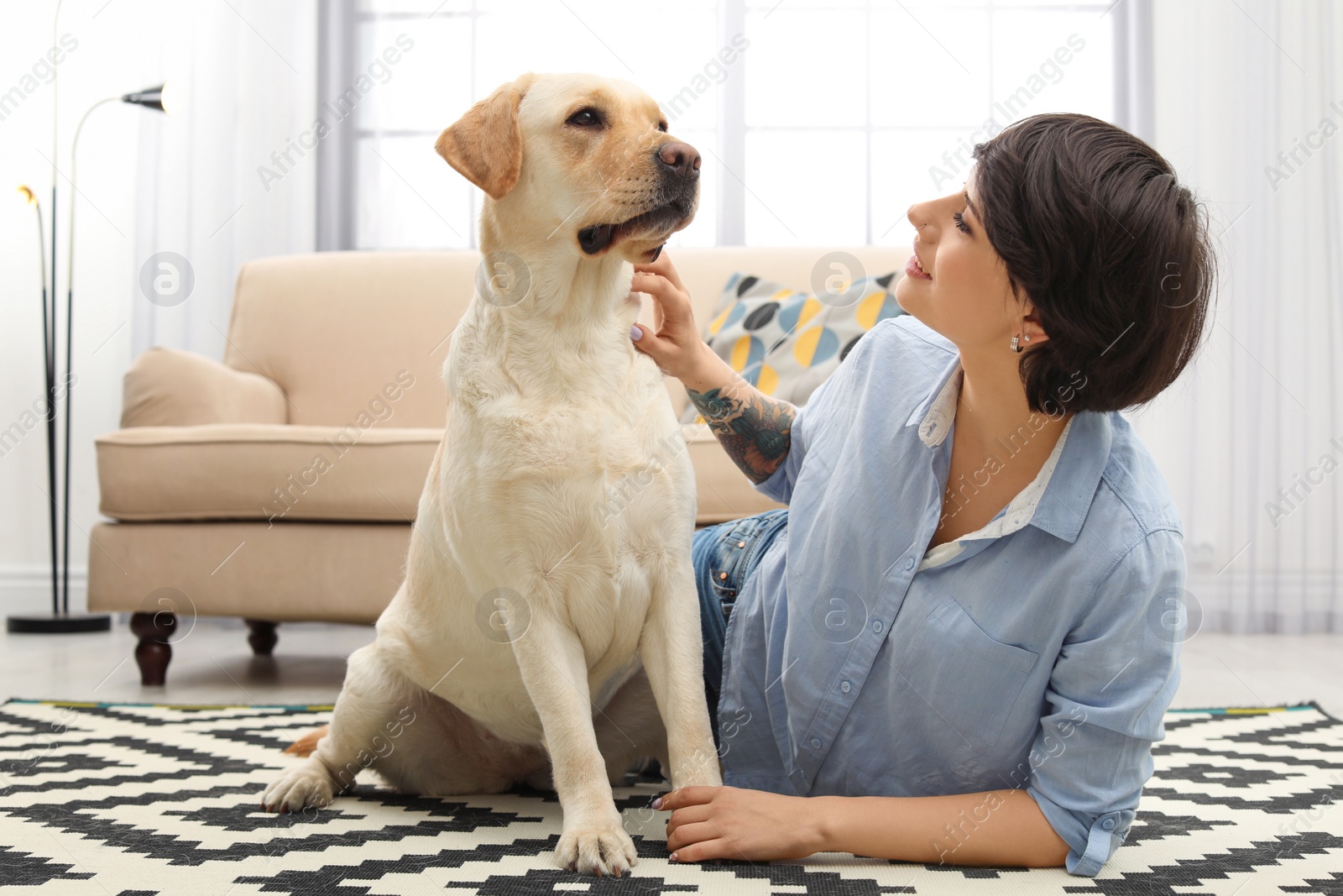 Photo of Adorable yellow labrador retriever with owner at home