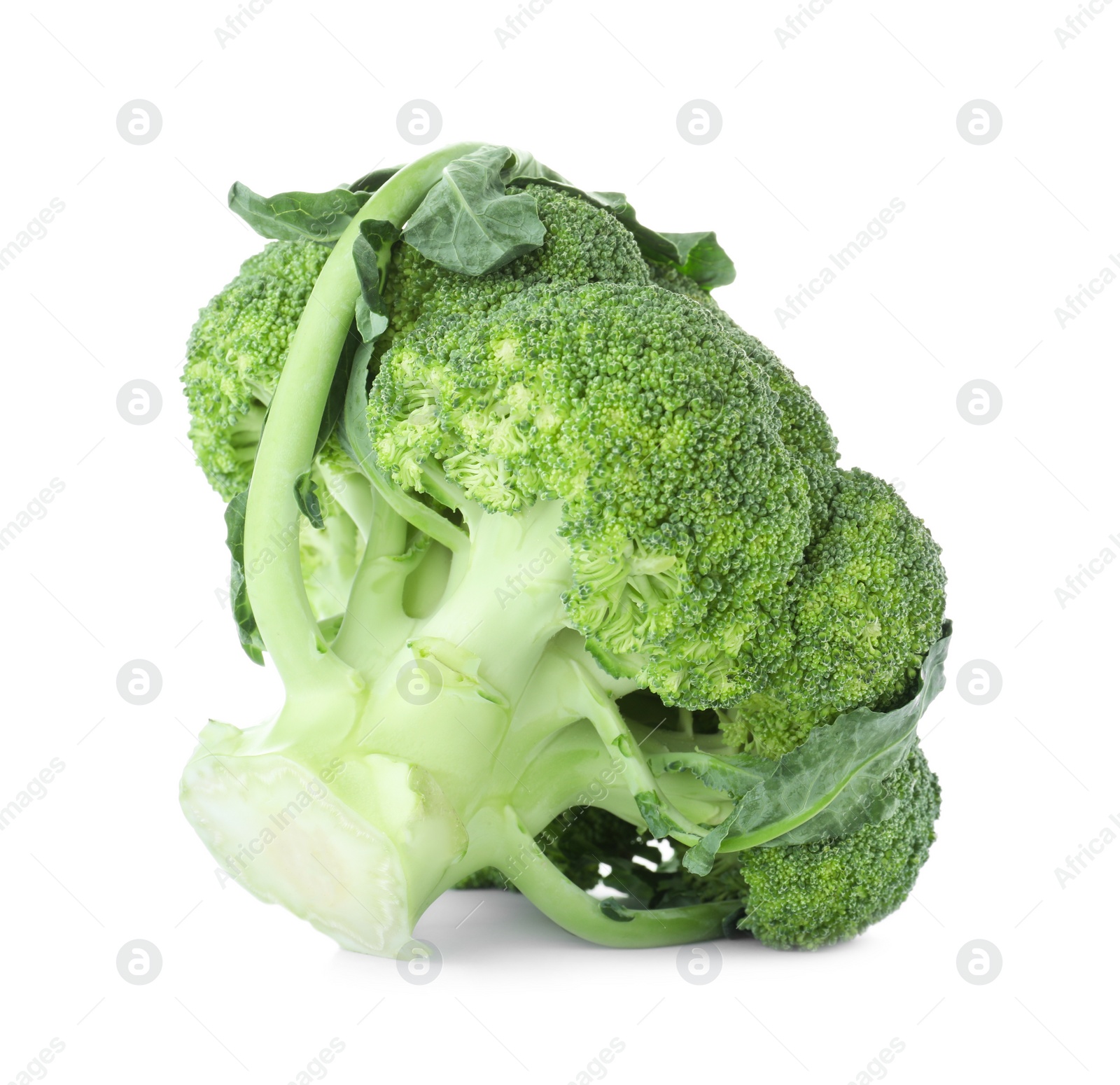 Photo of Fresh green broccoli isolated on white. Organic food