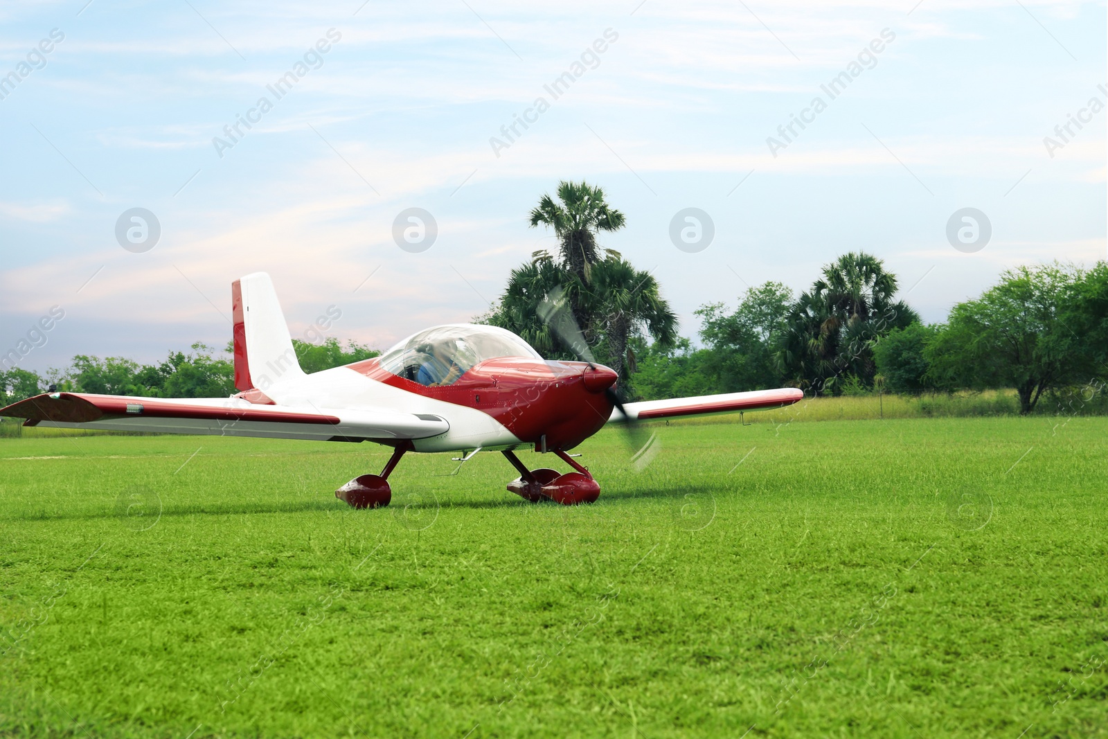 Photo of Ultralight aircraft on green grass near trees