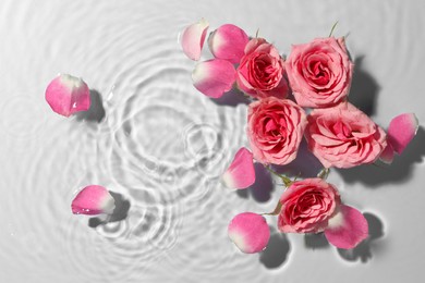 Photo of Beautiful roses and petals in water on light blue background, top view