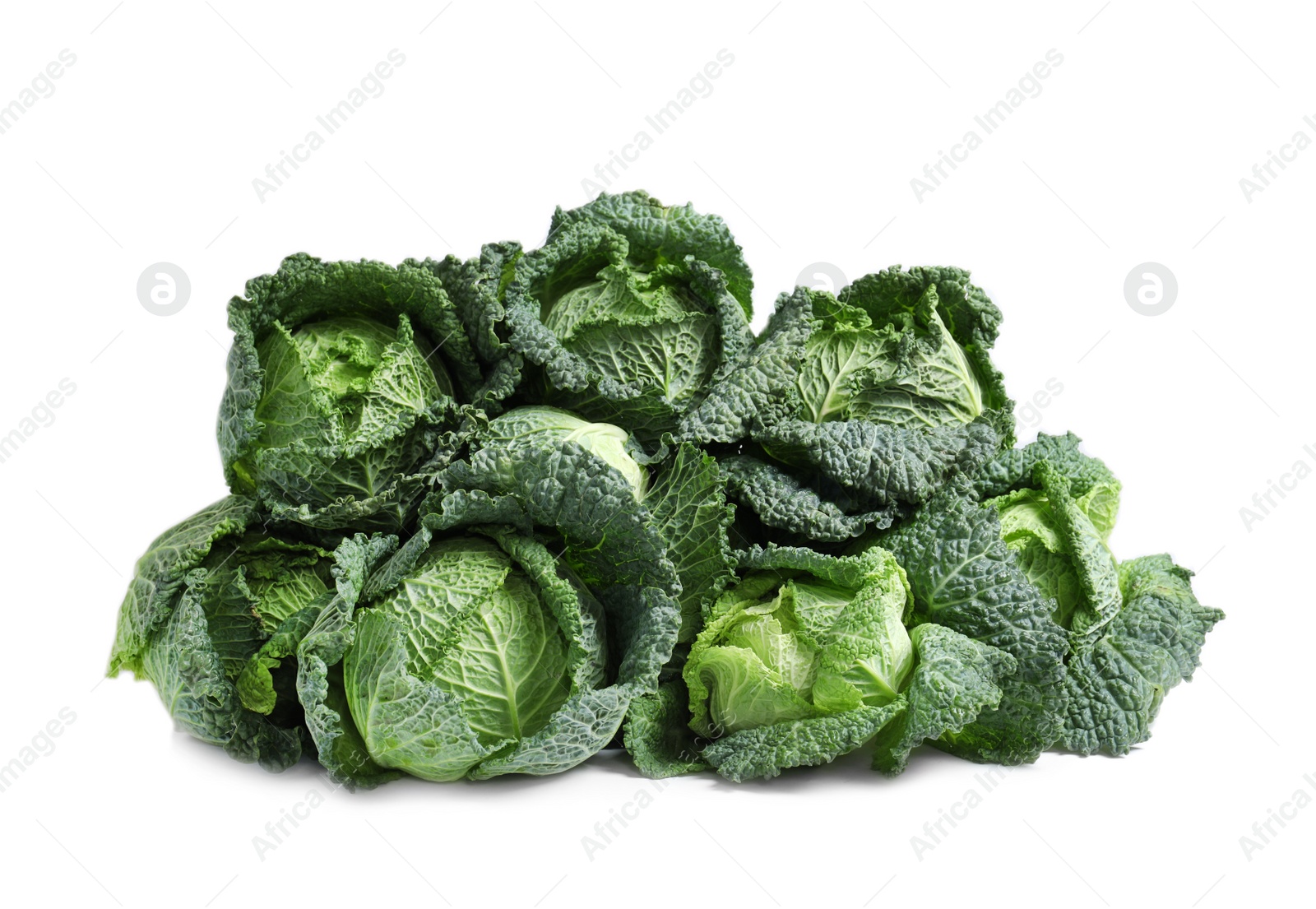 Photo of Pile of fresh savoy cabbages on white background