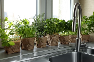 Photo of Different aromatic potted herbs on window sill near kitchen sink
