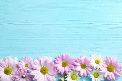 Beautiful chamomile flowers on wooden background, flat lay with space for text