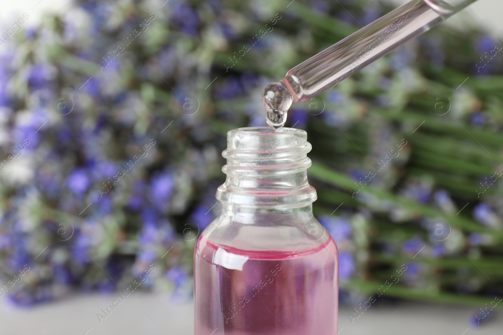Photo of Dripping essential oil into bottle near lavender flowers on table, closeup