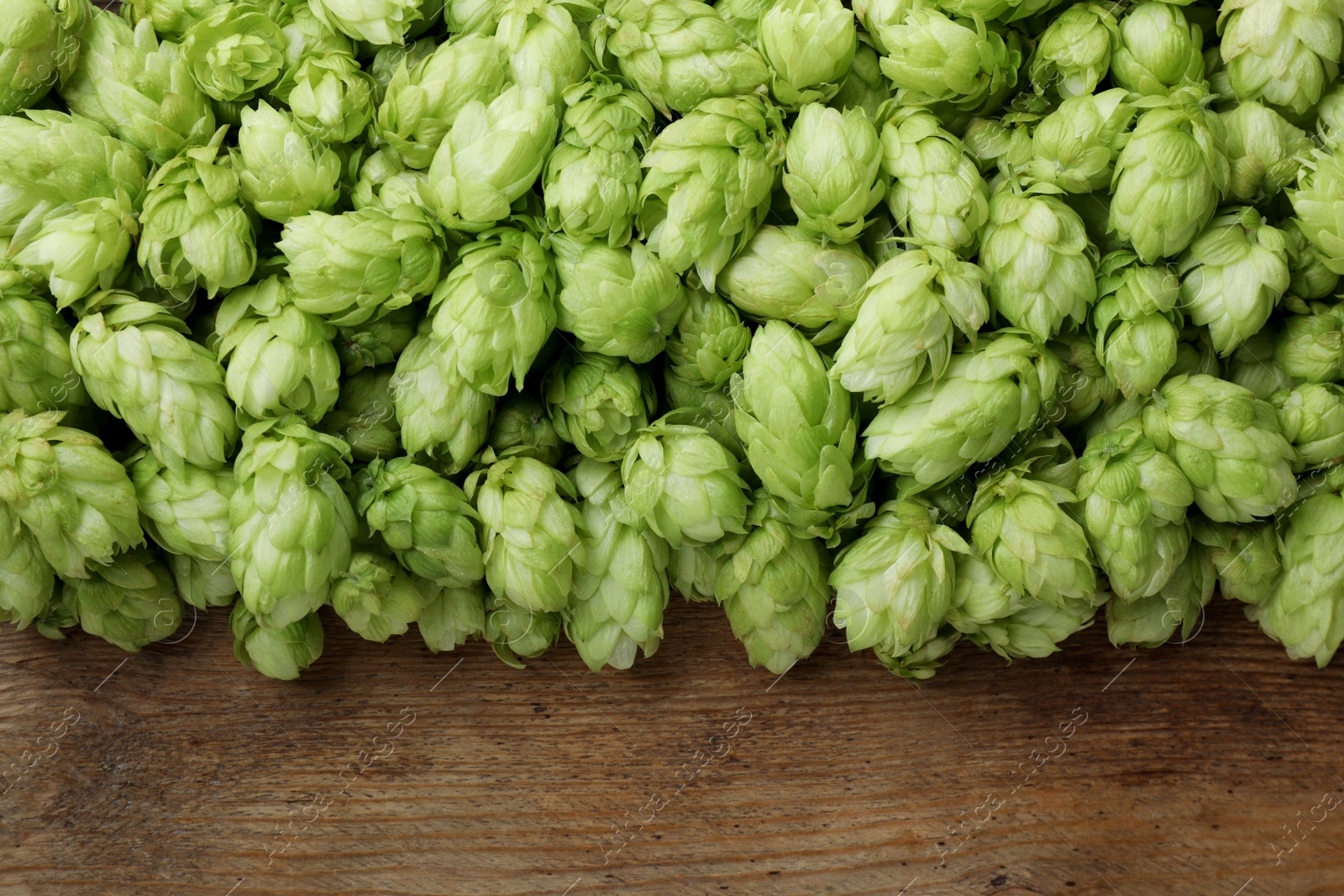 Photo of Fresh green hops on wooden table, top view. Space for text