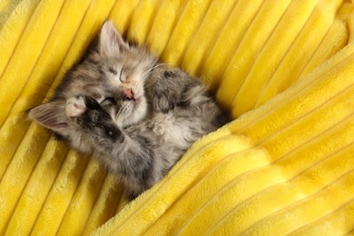 Photo of Cute kitten sleeping in soft yellow blanket, above view