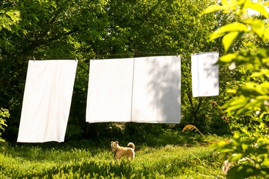 Photo of Washing line with clean laundry and clothespins outdoors