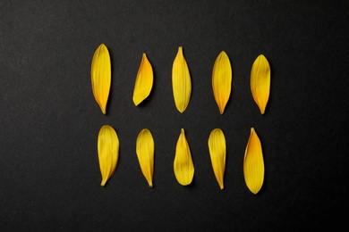 Photo of Fresh yellow sunflower petals on black background, flat lay