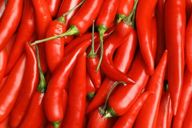 Photo of Ripe red chili peppers as background, top view