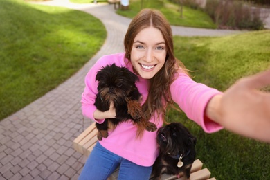 Photo of Young woman taking selfie with adorable Brussels Griffon dogs outdoors