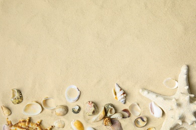 Photo of Different beautiful sea shells and starfish on sand, flat lay. Space for text