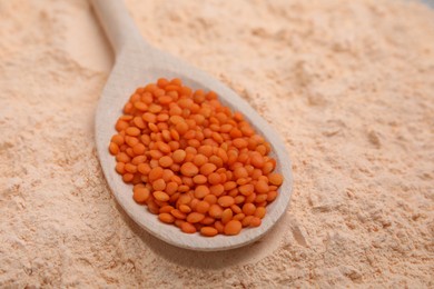 Photo of Lentil flour and spoon with seeds, closeup