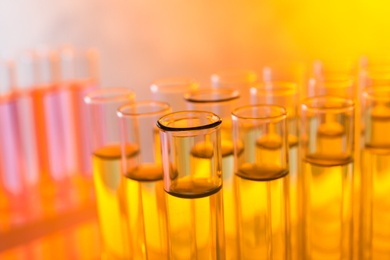 Photo of Closeup view of many test tubes with liquid, color tone effect