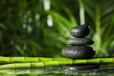 Photo of Stacked stones on bamboo stems over water against blurred background. Space for text