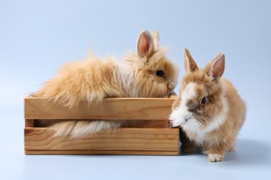 Photo of Cute little rabbits on light blue background