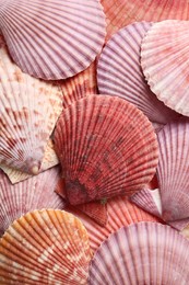 Photo of Top view of beautiful color seashells as background