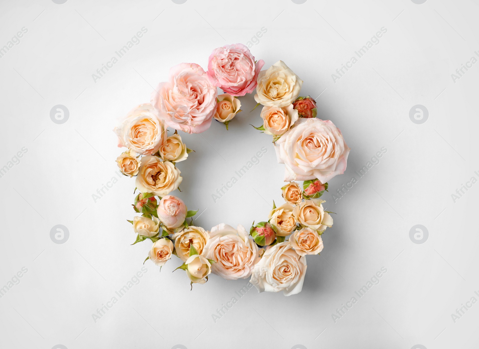 Photo of Flat lay composition with beautiful roses and space for text on white background