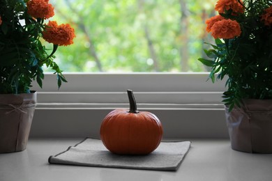 Photo of Whole ripe pumpkin and potted flowers on windowsill indoors