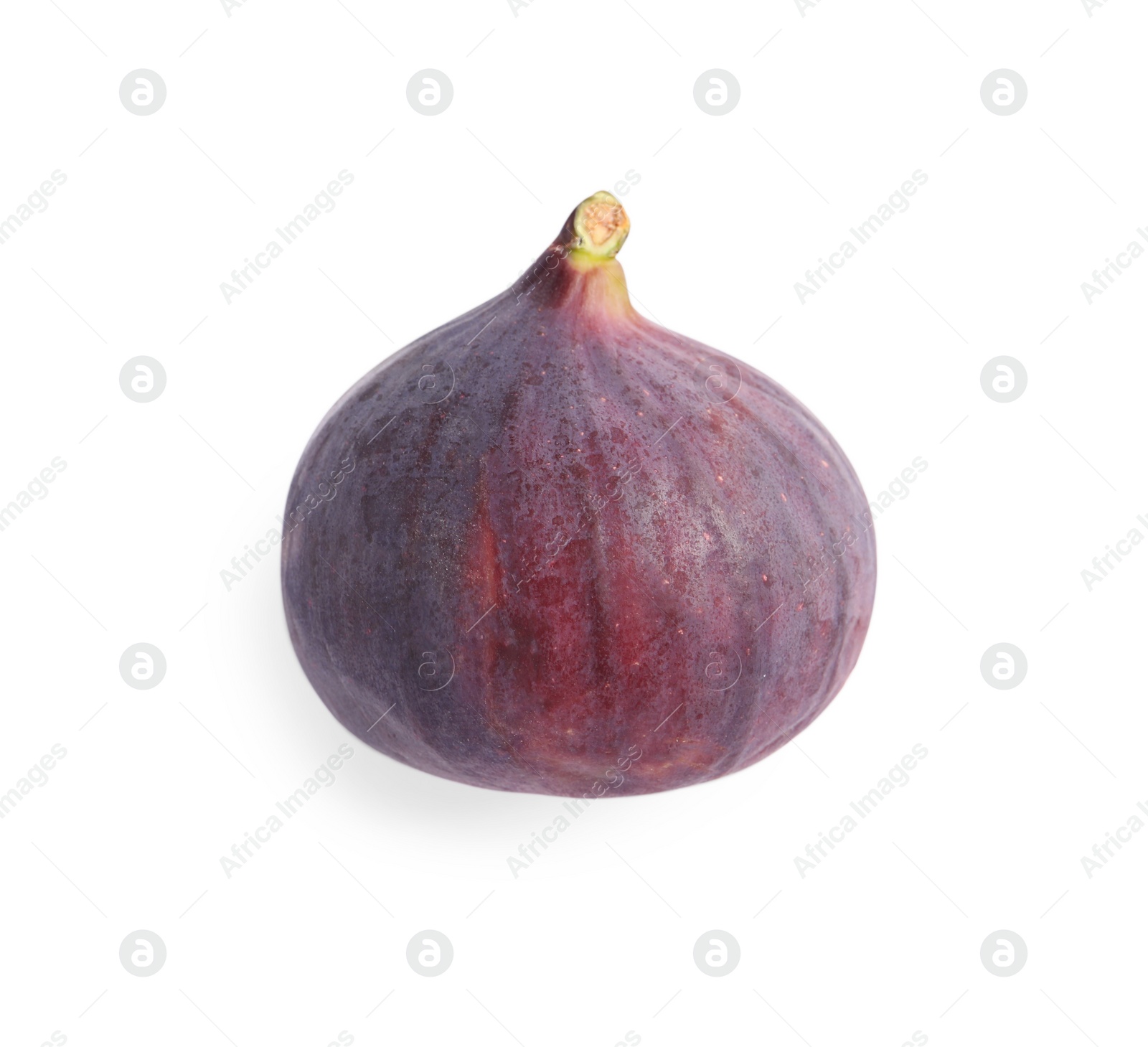 Photo of Whole ripe fresh fig isolated on white