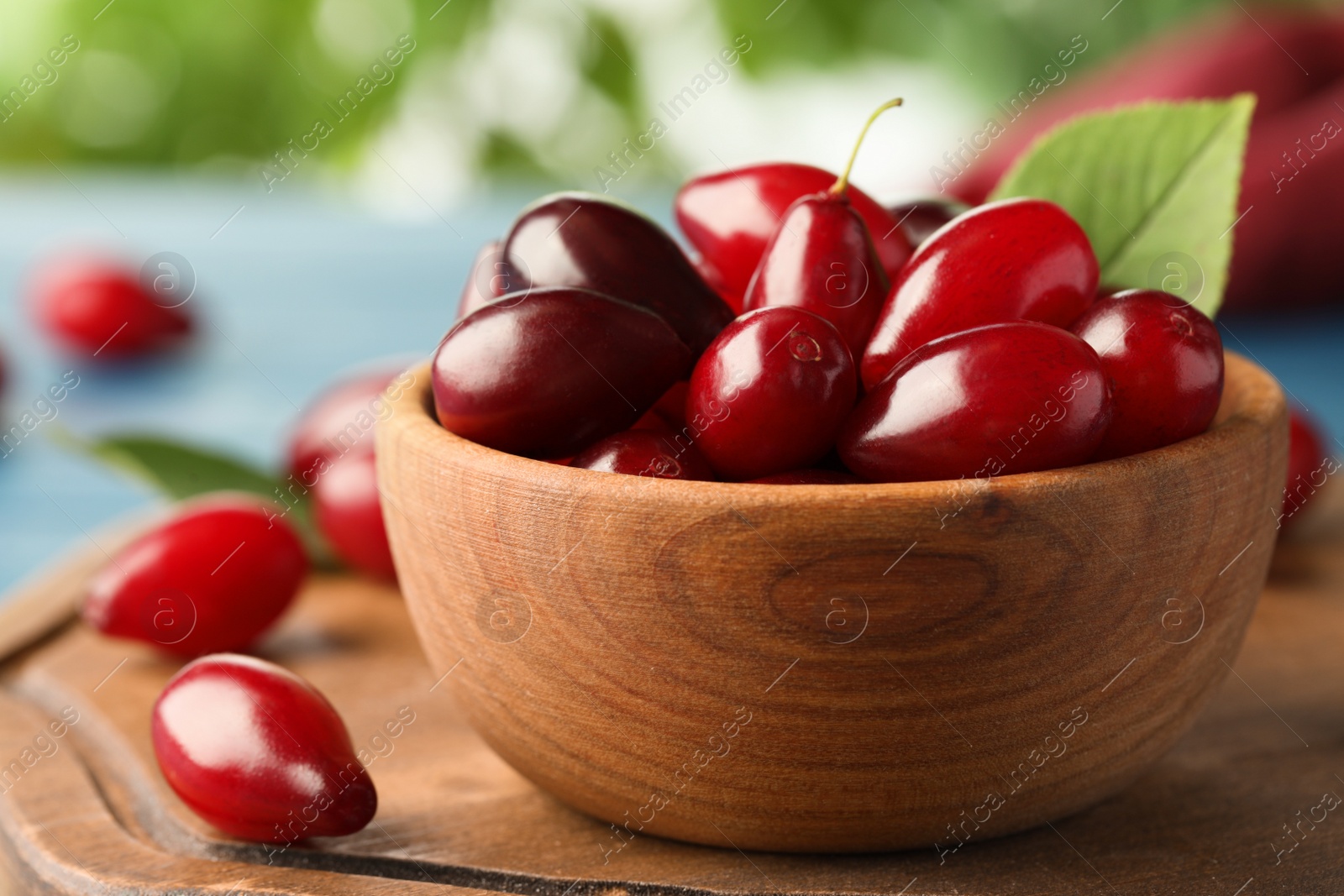 Photo of Fresh ripe dogwood berries in wooden bowl on board, closeup