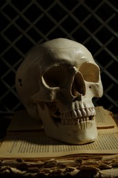 Human skull and old book on wooden table