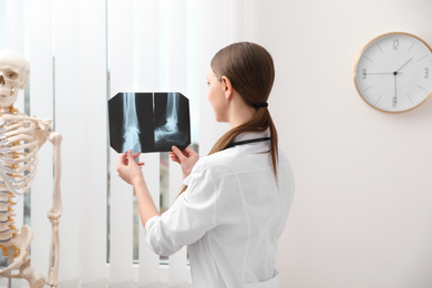 Photo of Orthopedist examining X-ray picture near window in office