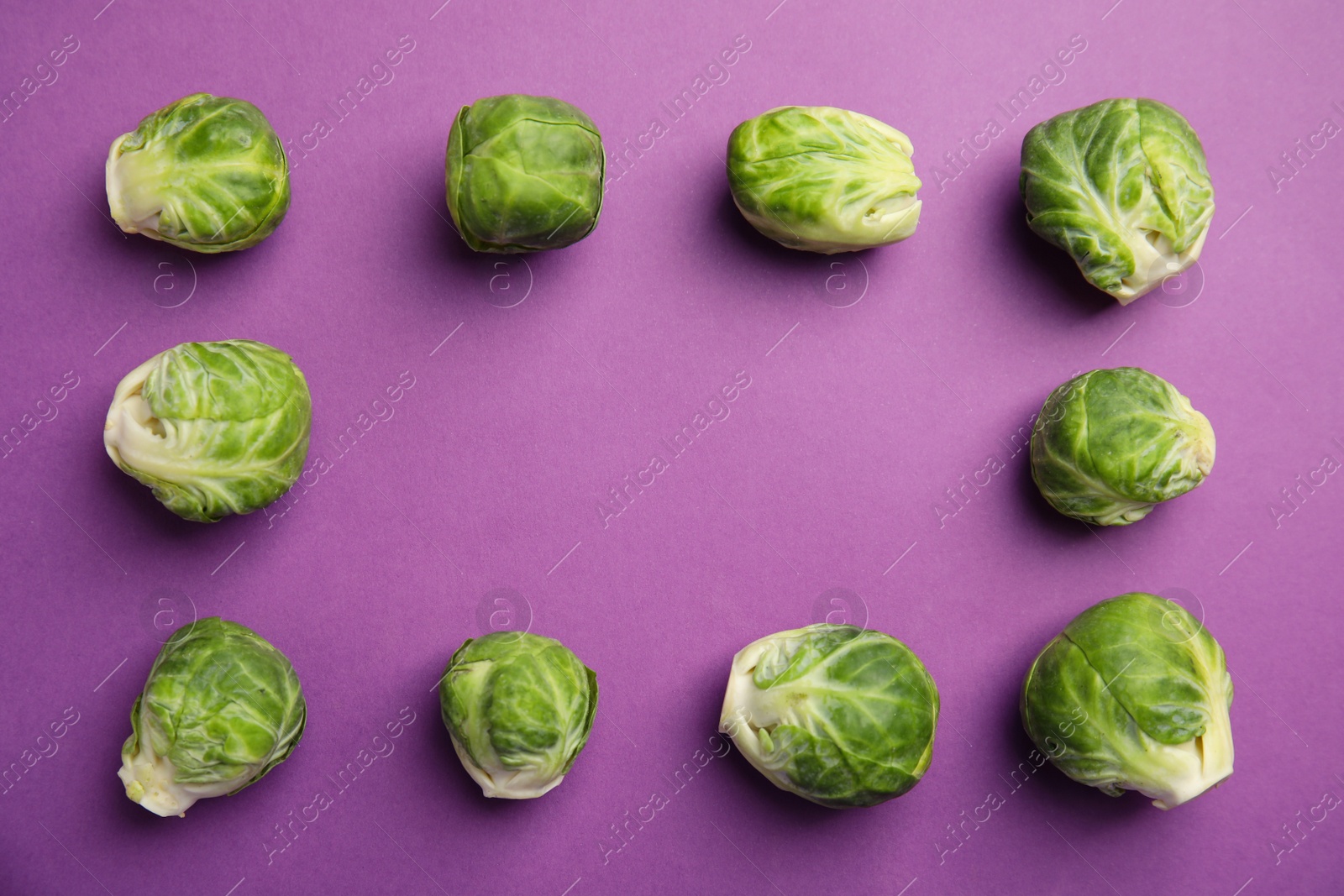 Photo of Fresh Brussels sprouts on purple background, flat lay. Space for text