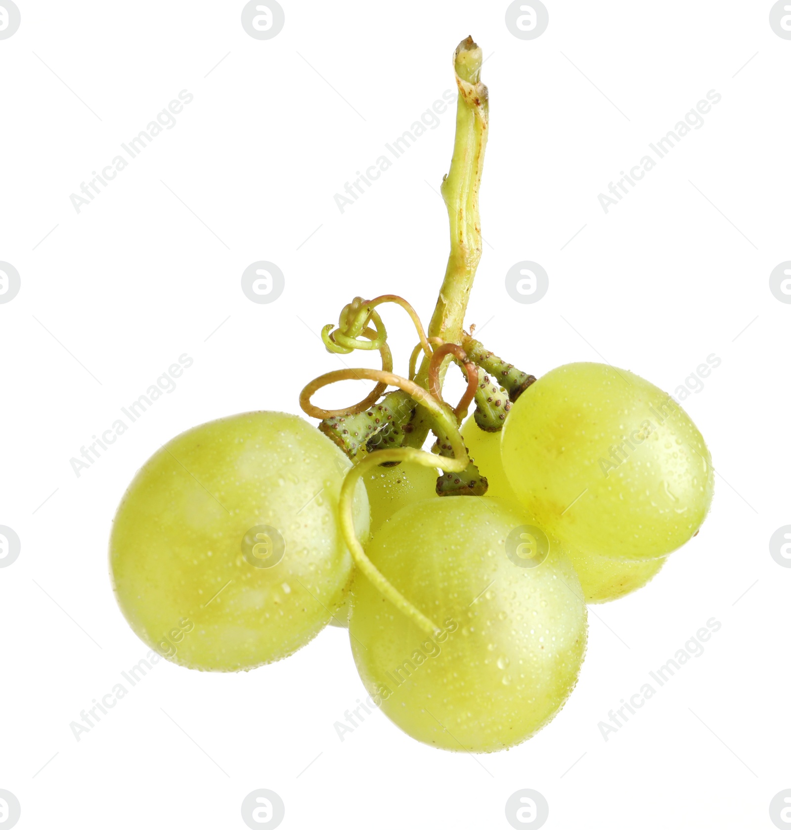 Photo of Fresh ripe juicy grapes isolated on white