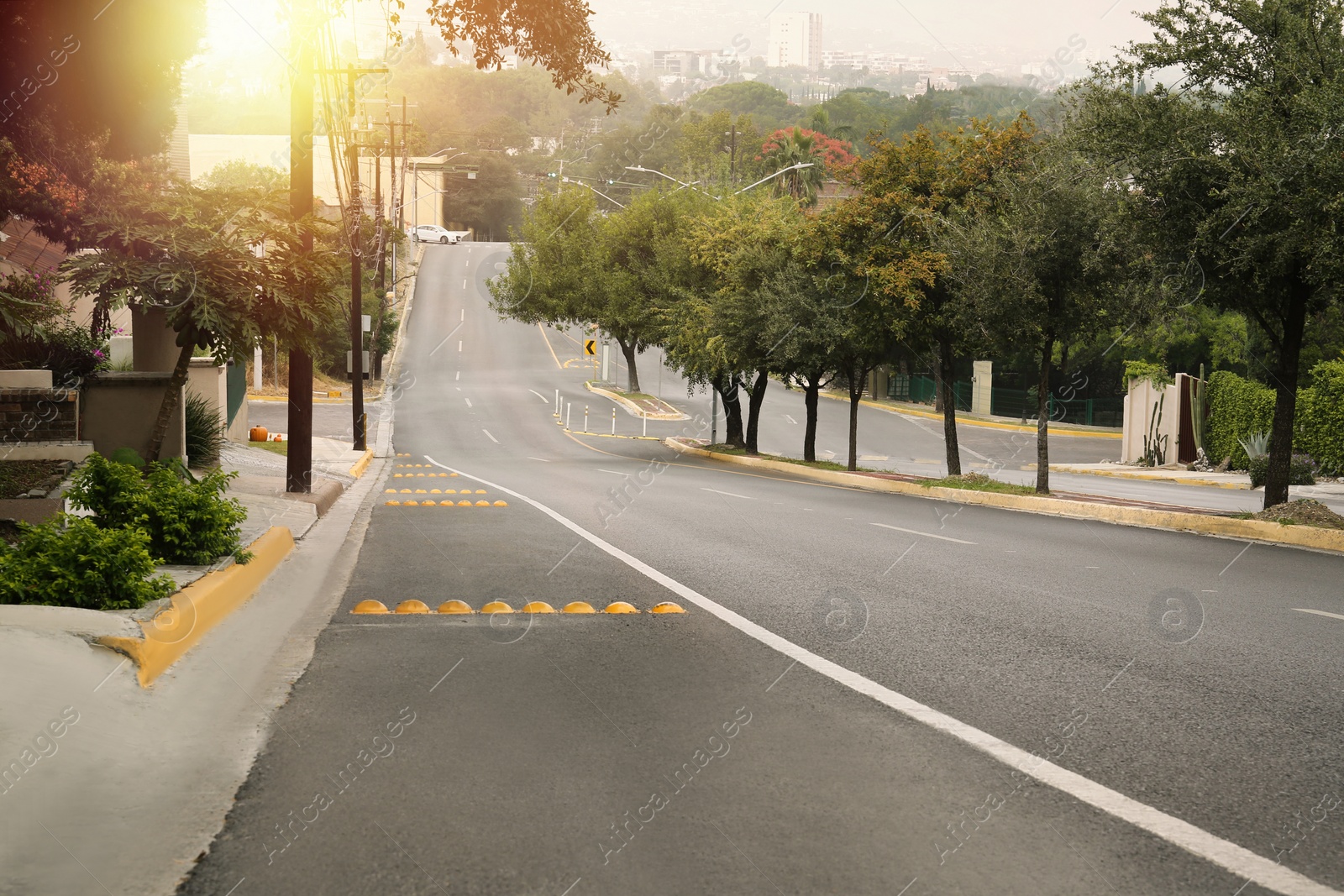 Photo of Beautiful city street with wide asphalt road and green trees