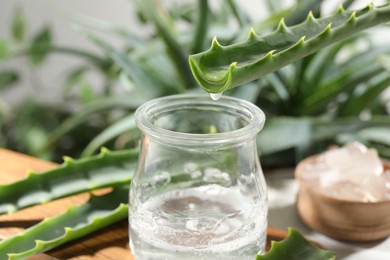 Photo of Dripping aloe vera gel from leaf into jar at table, closeup