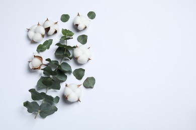 Fluffy cotton flowers and eucalyptus leaves on white background, flat lay. Space for text