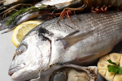 Photo of Fresh raw dorado fish, shrimps and oyster on light grey table, closeup