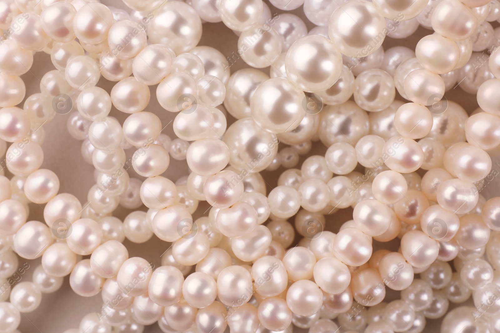 Photo of Elegant pearl necklaces as background, top view