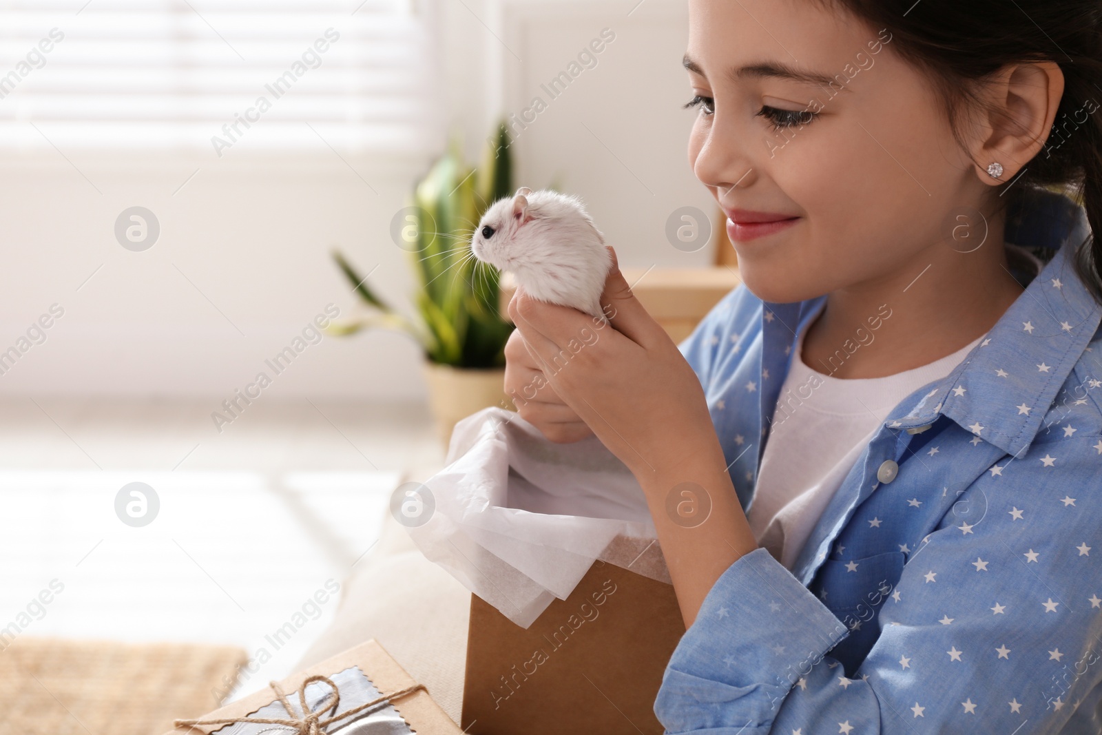 Photo of Happy little girl with cute hamster and gift box at home. Space for text