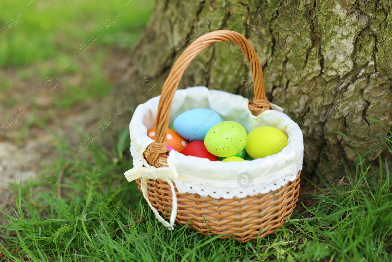 Photo of Easter celebration. Painted eggs in wicker basket on green grass