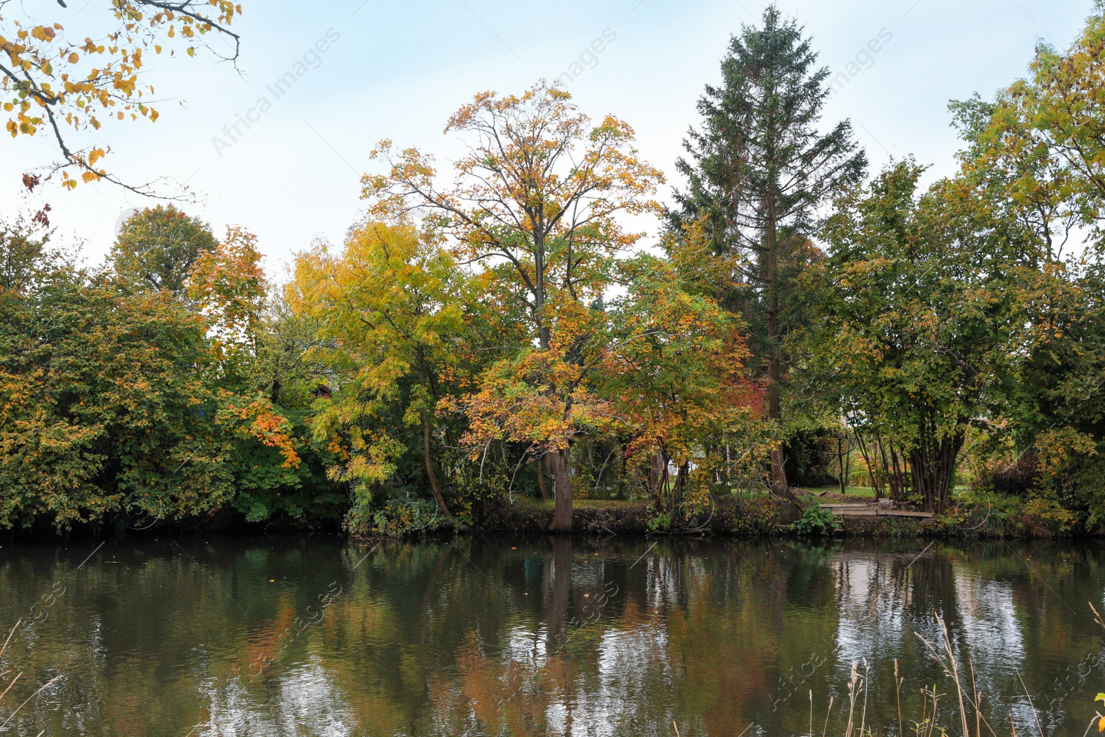 Photo of Picturesque view of river and trees in beautiful park. Autumn season