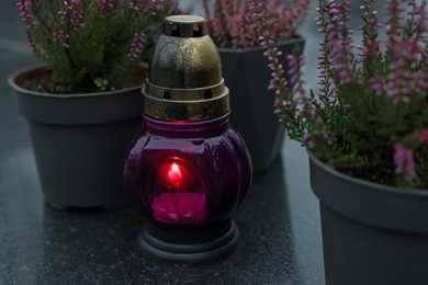 Photo of Grave light and potted heather on granite surface at cemetery, closeup