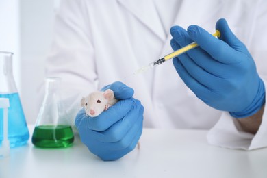 Photo of Scientist with syringe and rat in chemical laboratory, closeup. Animal testing