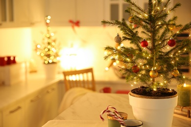 Small Christmas tree decorated with baubles and festive lights in kitchen, closeup. Space for text