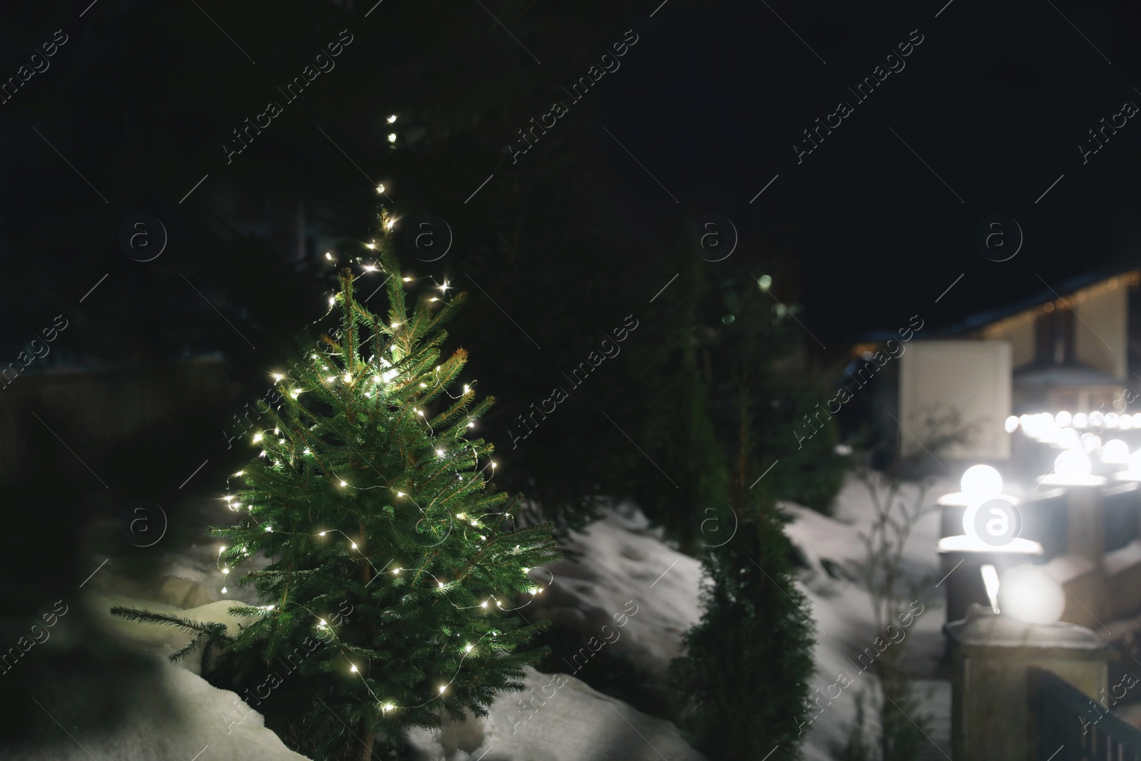 Photo of Beautiful conifer tree with Christmas lights in snow drift on street, space for text. Winter holiday