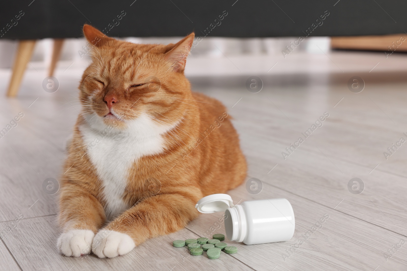 Photo of Cute ginger cat and vitamin pills indoors. Space for text