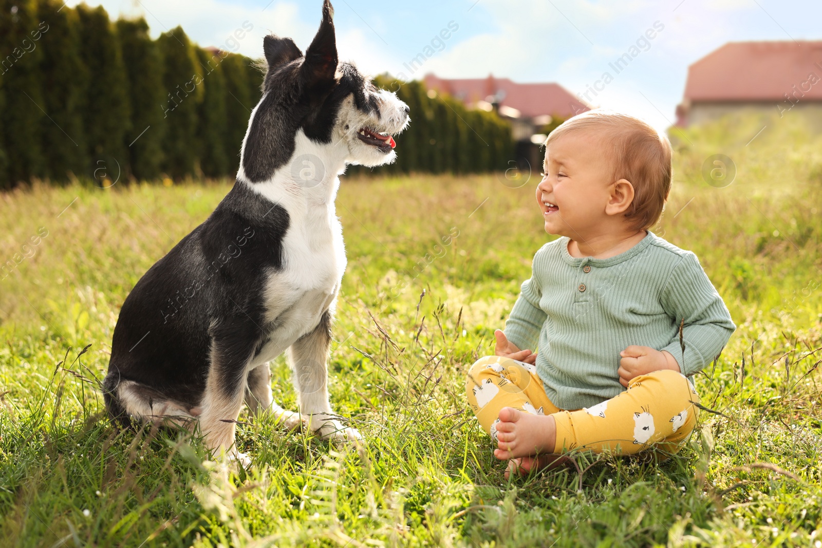 Photo of Adorable baby and furry little dog on green grass outdoors