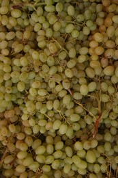 Fresh green grapes as background, top view