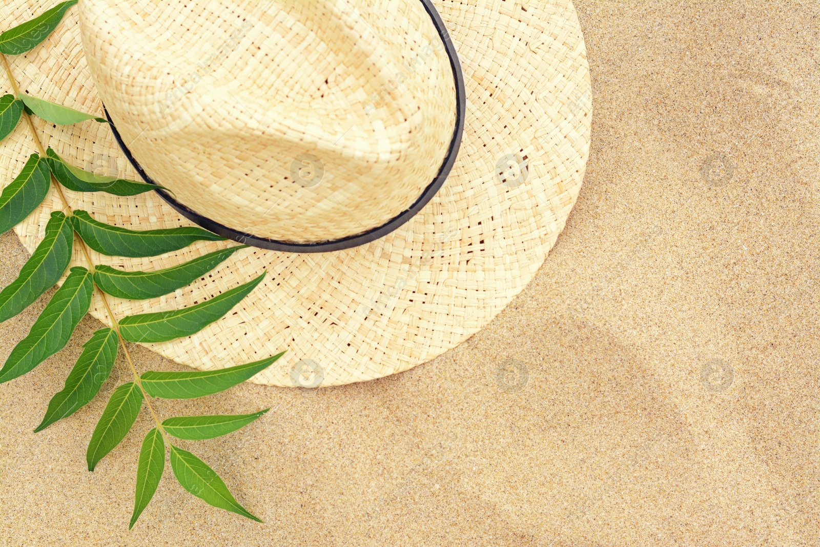 Photo of Straw hat and green leaves on sandy beach, flat lay. Space for text