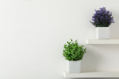 Beautiful artificial plants in flower pots on shelves. Space for text