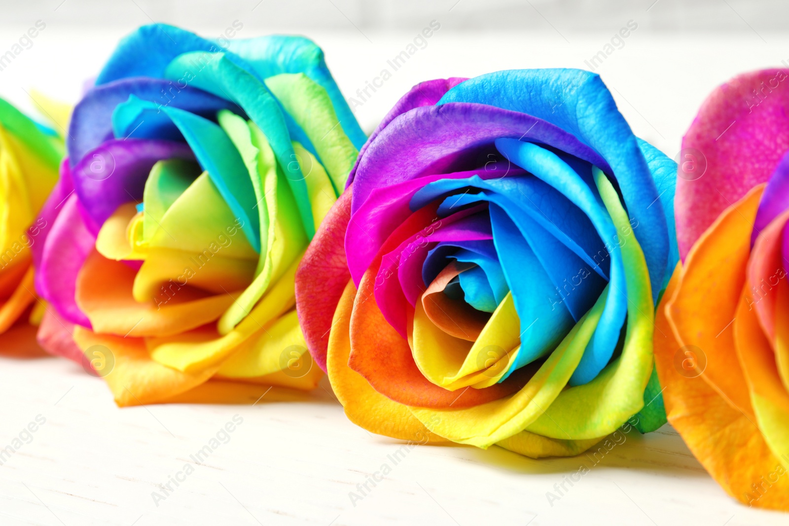 Photo of Amazing rainbow rose flowers on table, closeup