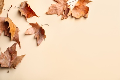 Photo of Dry autumn leaves on beige background, flat lay. Space for text