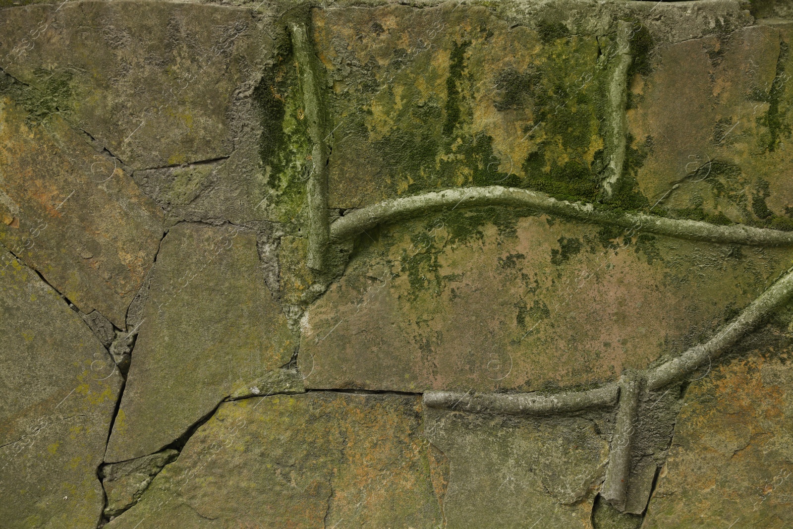 Photo of Stone wall with green moss as background, closeup